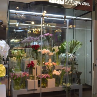 стеклянная перегородка из закаленного стекла